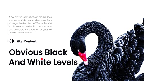 Hisense 40" A4 Series FHD Smart Android TV – DTS Virtual X, Game/Sports Modes, Chromecast & Alexa (2022)